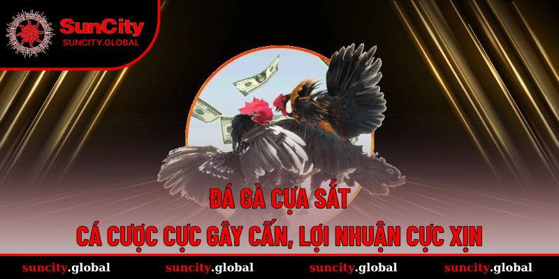 Đá Gà Cựa Sắt - Cá Cược Cực Gây Cấn, Lợi Nhuận Cực Xịn 15 Đá Gà Cựa Sắt - Cá Cược Cực Gây Cấn, Lợi Nhuận Cực Xịn