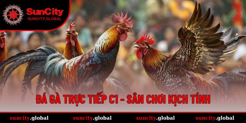Đá Gà Trực Tiếp C1 - Sân Chơi Kịch Tính Đến Từng Phút Giây 9 Đá Gà Trực Tiếp C1 - Sân Chơi Kịch Tính Đến Từng Phút Giây