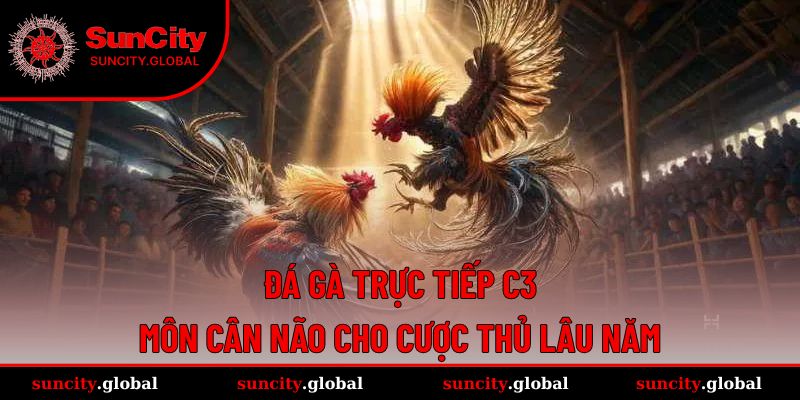 Đá Gà Trực Tiếp C3 - Môn Cân Não Cho Cược Thủ Lâu Năm 13 Đá Gà Trực Tiếp C3 - Môn Cân Não Cho Cược Thủ Lâu Năm