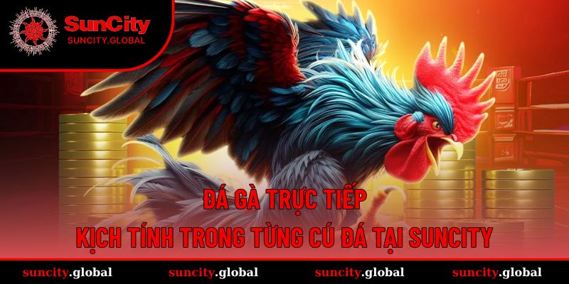Đá Gà Trực Tiếp - Kịch Tính Trong Từng Cú Đá Tại Suncity 11 Đá gà trực tiếp