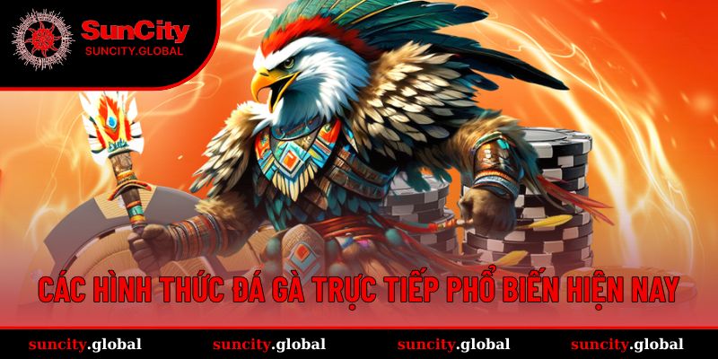 Đá Gà Trực Tiếp - Kịch Tính Trong Từng Cú Đá Tại Suncity 3 Hình thức đa dạng của loại hình đấu kê này
