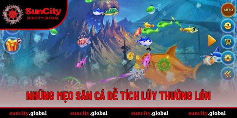 Cách Chơi Bắn Cá - Tuyệt Chiêu Săn Mồi Độc Quyền Tại Suncity 2 Bí kíp săn mồi ngon, thưởng lớn