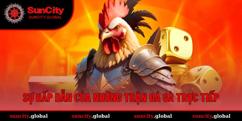 Đá Gà Trực Tiếp - Kịch Tính Trong Từng Cú Đá Tại Suncity 2 Lý giải sức hút của hình thức đá gà này